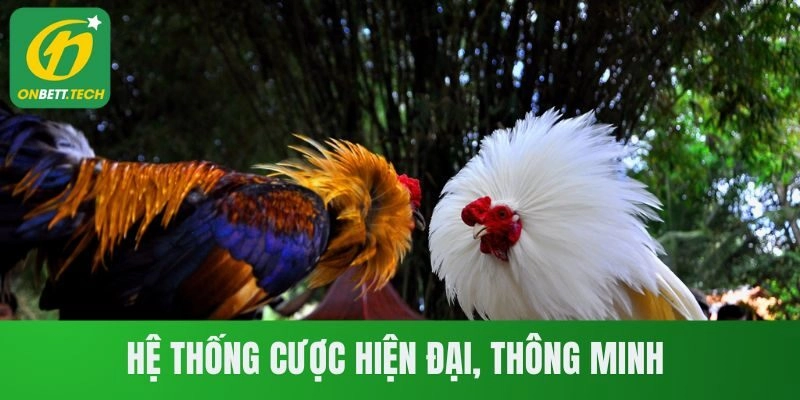 Hệ thống cược hiện đại, thông minh 