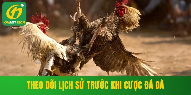 Theo dõi lịch sử trước khi cược đá gà